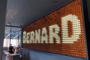 2025-04-bernard-001