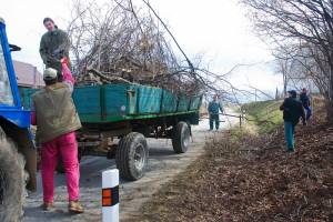 brigada-27-03-2010-007