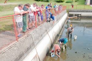 vylov-nadrze-posna-19-06-2012-011